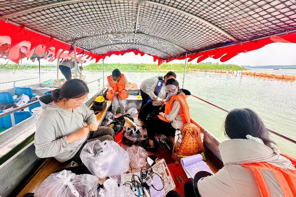 河北大学师生圆满完成白洋淀生态大调查野外采样任务